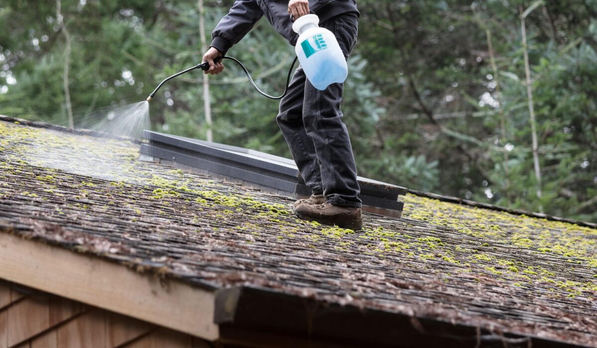 anti-moss-treatment