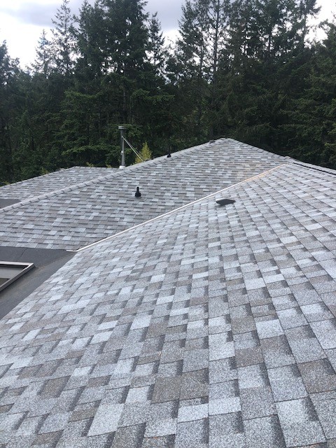shingle vs membrane roofing