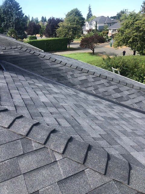 shoreline roof leak and helping homeowners have their roofs replaced