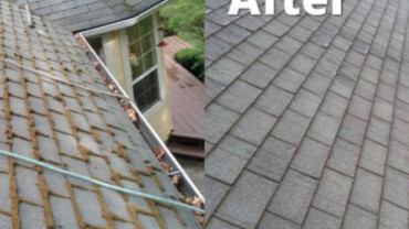 Clean Roofing Shingles