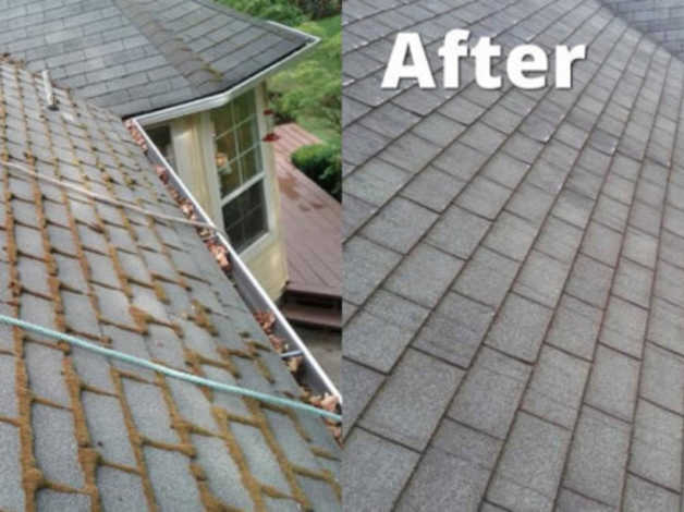 Clean Roofing Shingles
