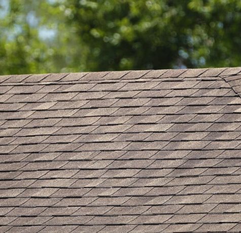 traditional-shingles
