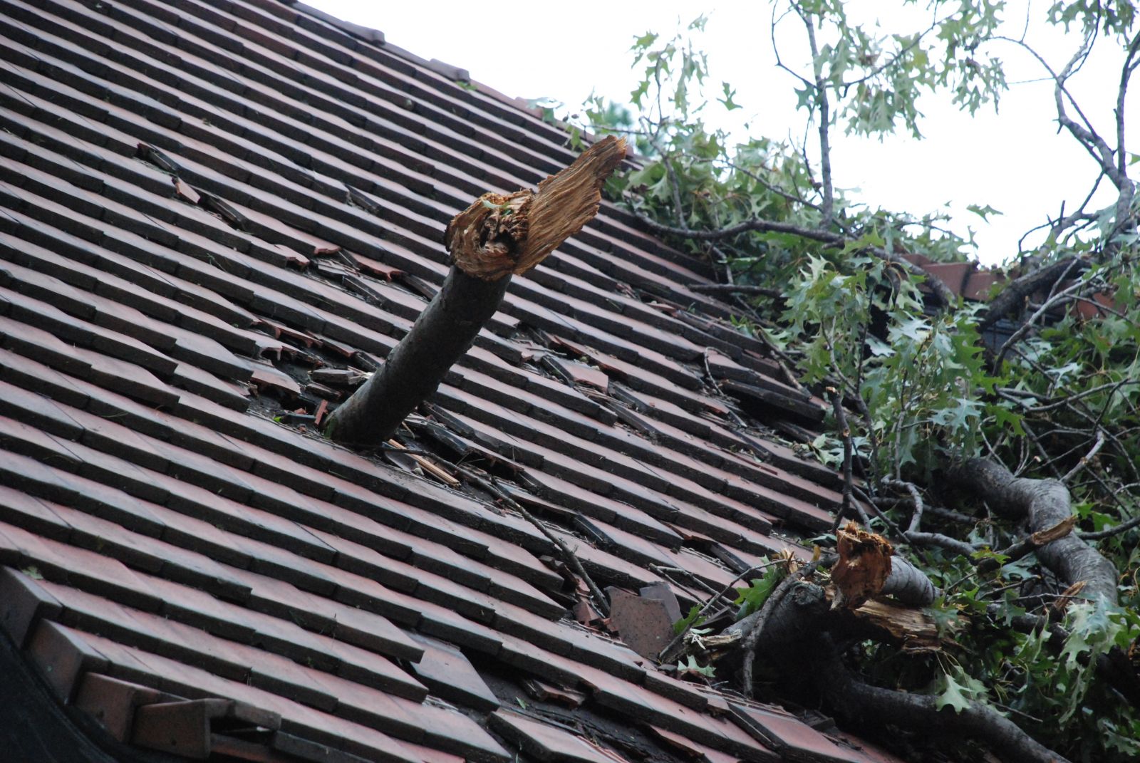 storm-damage-roof