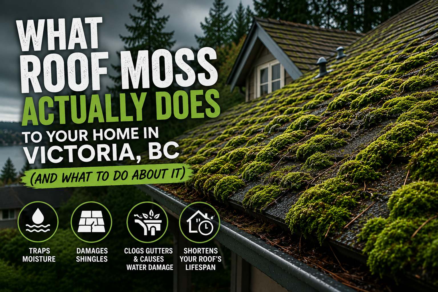 What Roof Moss Actually Does to Your Home in Victoria, BC