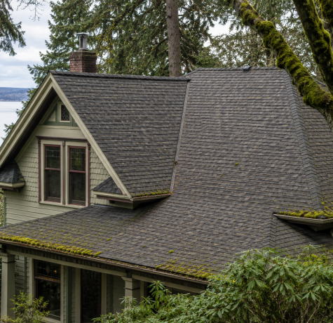 Asphalt shingle roof on a Victoria BC home