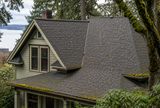 Asphalt shingle roof on a Victoria BC home