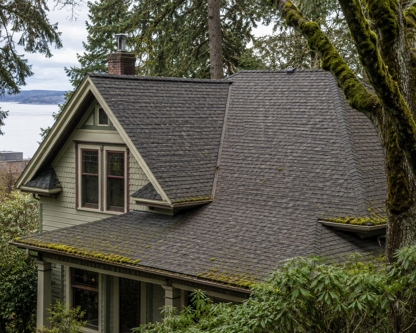 Asphalt shingle roof on a Victoria BC home